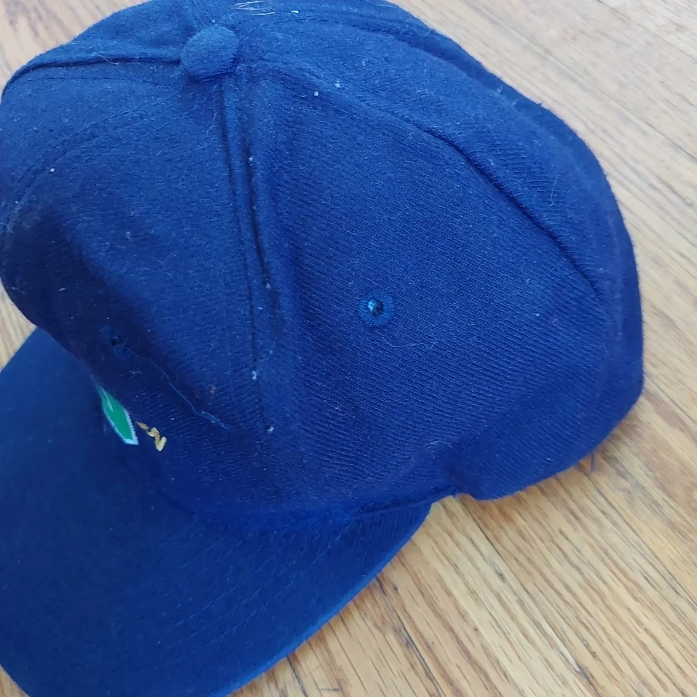 Vintage Green BAY Packers  Golden Boy Embroidery CAP PAUL Hornung Hat    (Bag C)